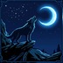 NightWolfTR kullanıcı avatarı